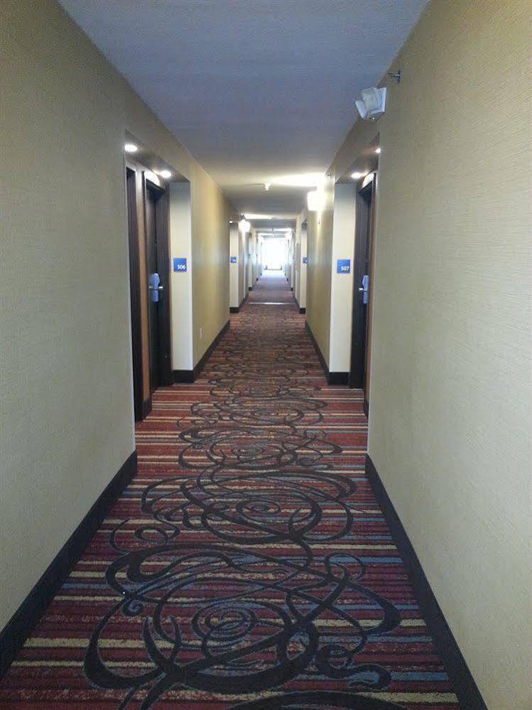 Holiday Inn Express Fredericksburg - Southpoint By Ihg Esterno foto